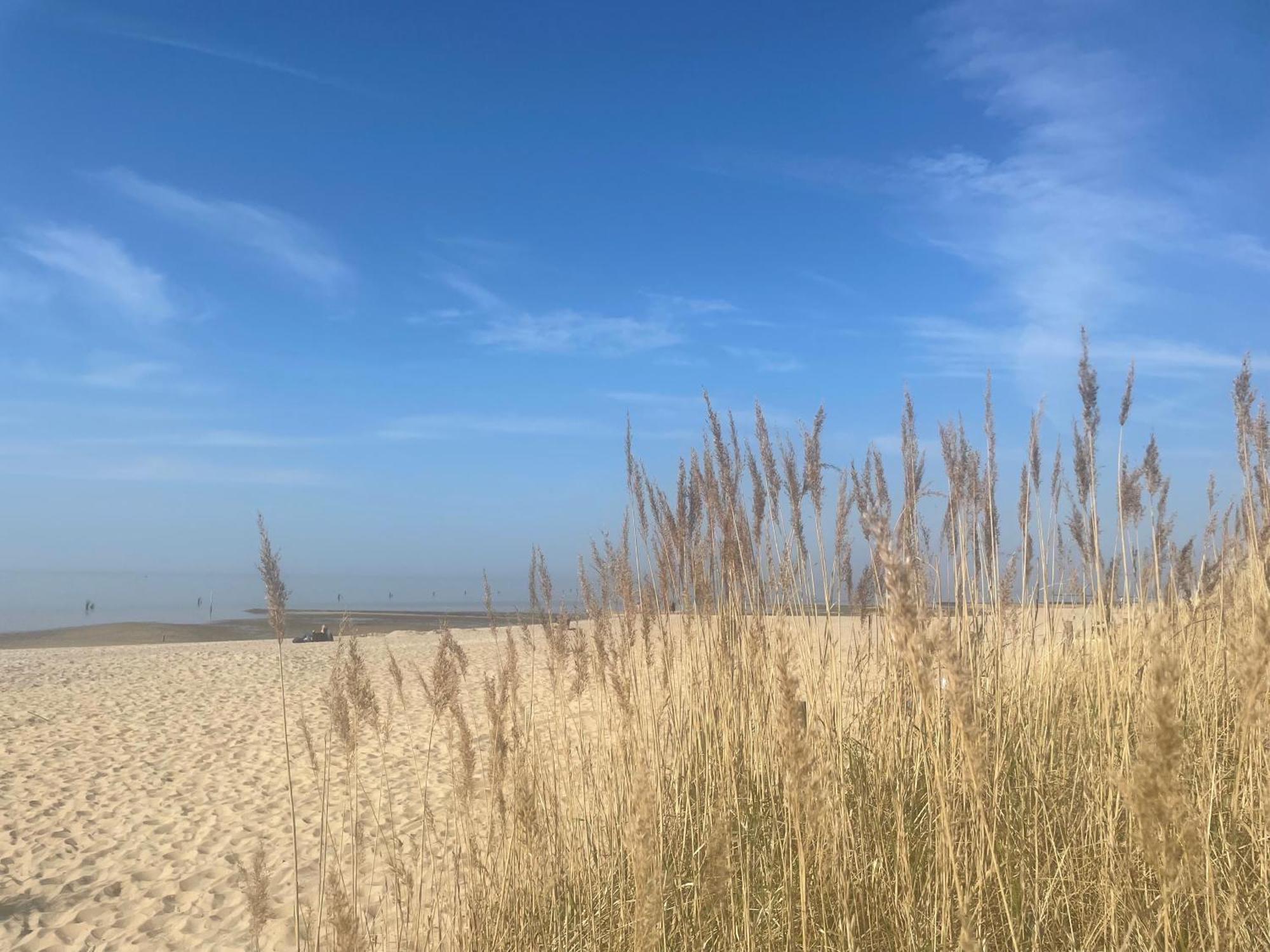 Nordseebrandung A2 1 Apartment